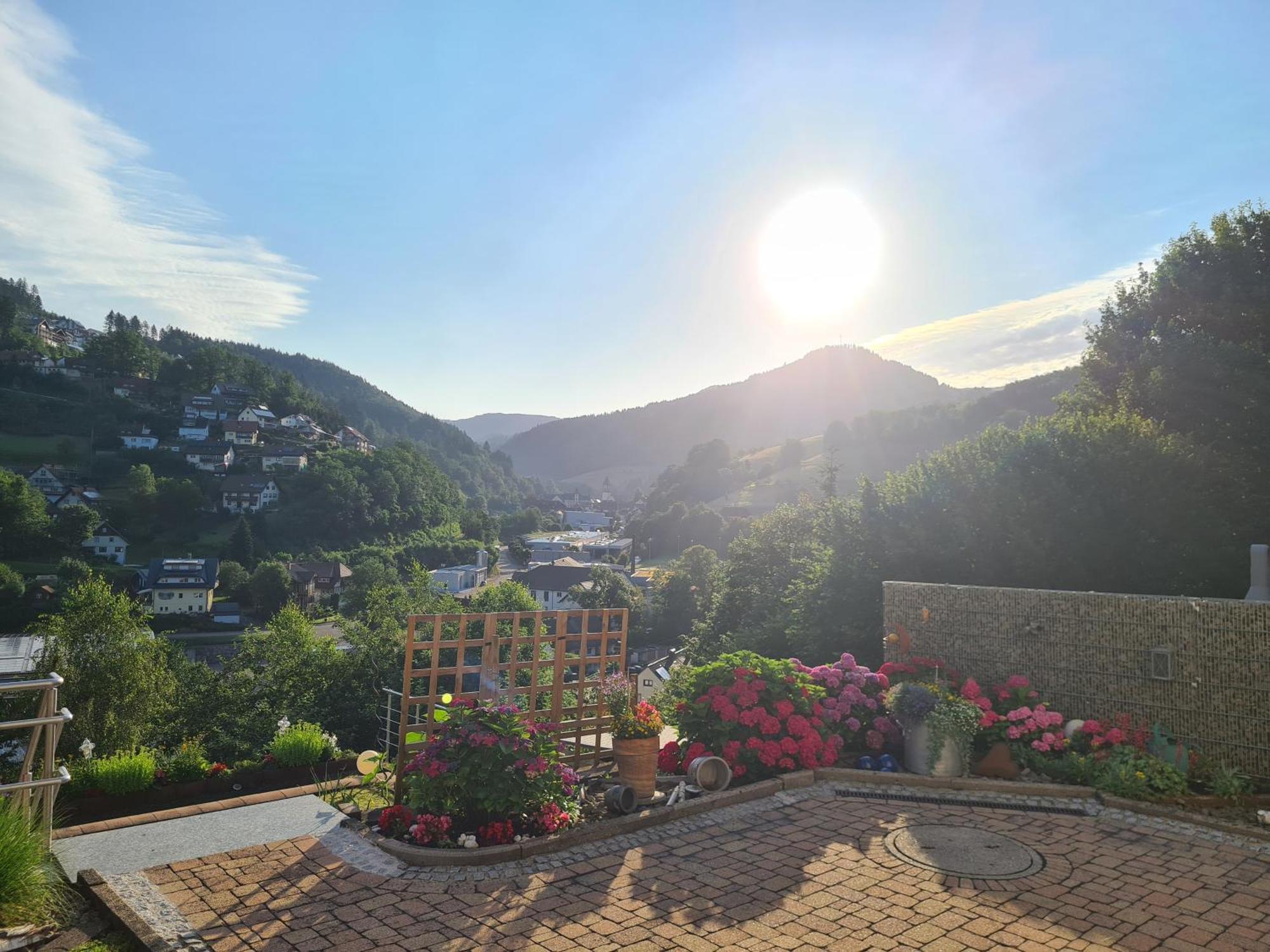 Ferienwohnung Schwarzwaldsteig Bad Peterstal-Griesbach Εξωτερικό φωτογραφία