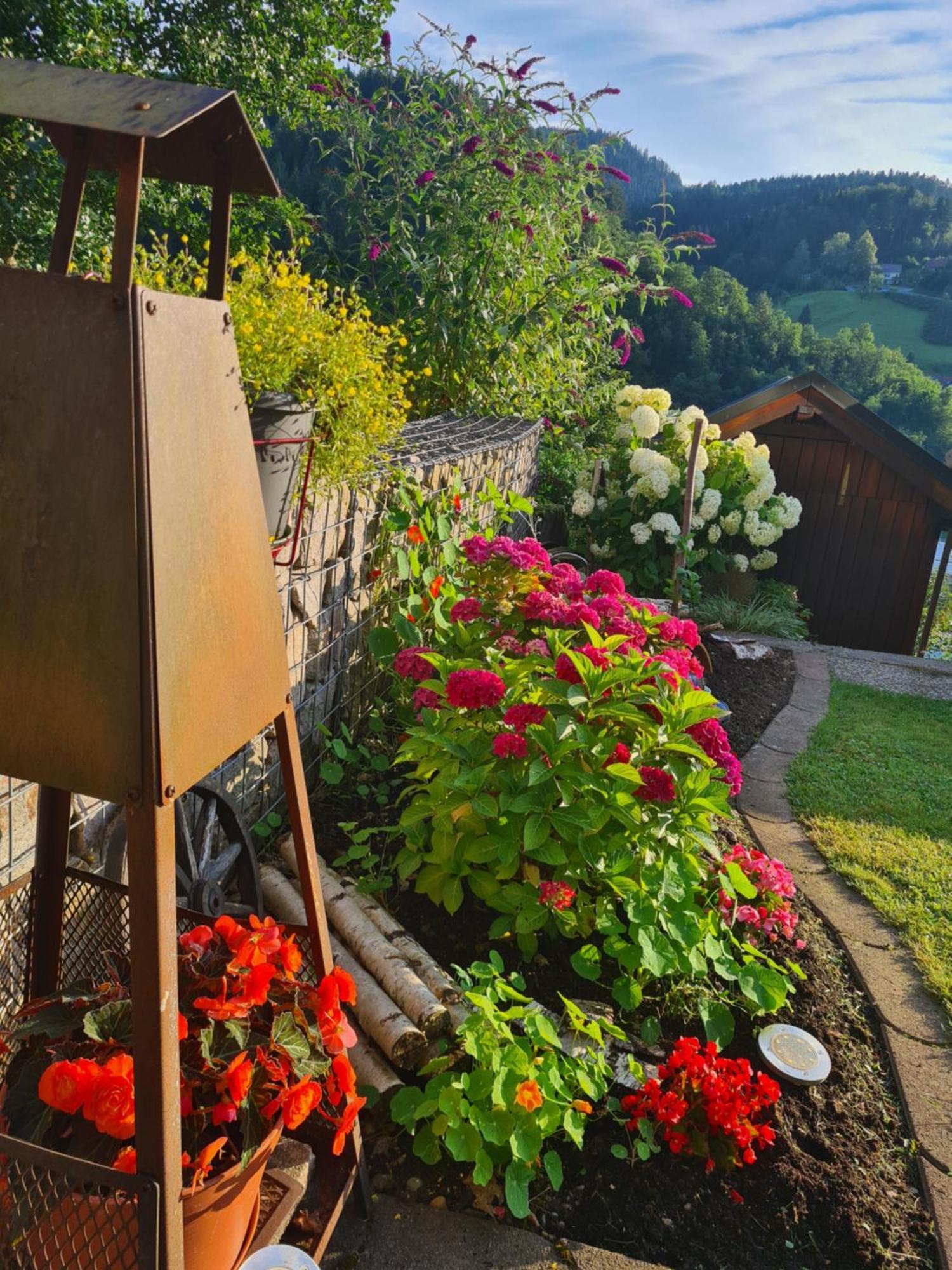 Ferienwohnung Schwarzwaldsteig Bad Peterstal-Griesbach Εξωτερικό φωτογραφία