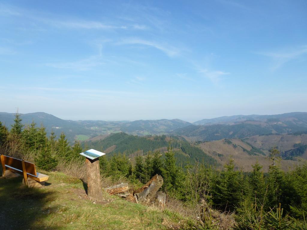 Ferienwohnung Schwarzwaldsteig Bad Peterstal-Griesbach Εξωτερικό φωτογραφία