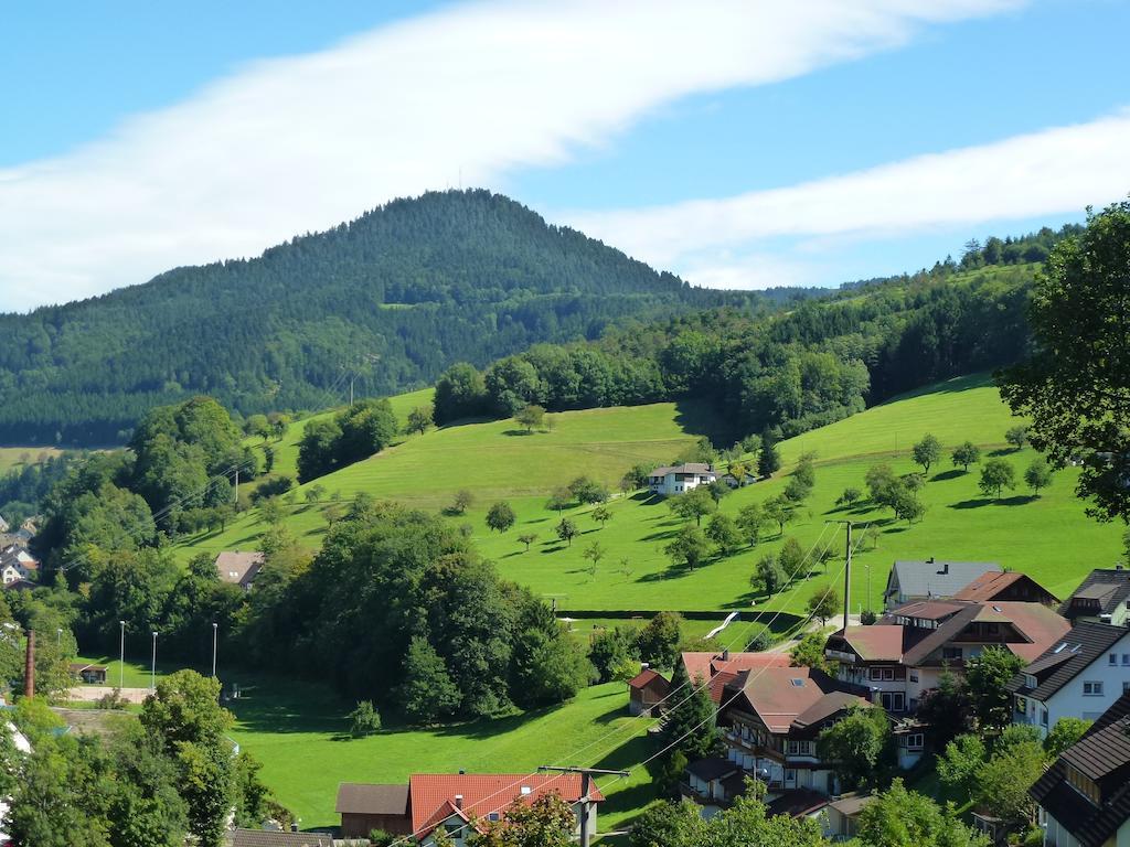 Ferienwohnung Schwarzwaldsteig Bad Peterstal-Griesbach Εξωτερικό φωτογραφία