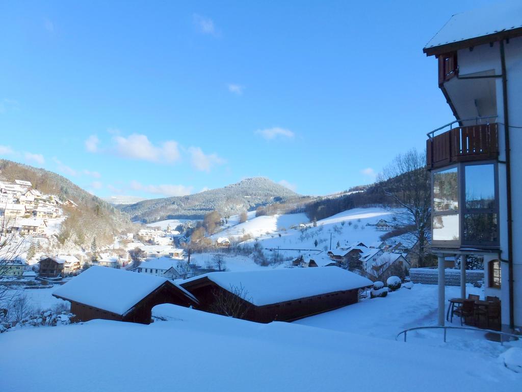 Ferienwohnung Schwarzwaldsteig Bad Peterstal-Griesbach Εξωτερικό φωτογραφία