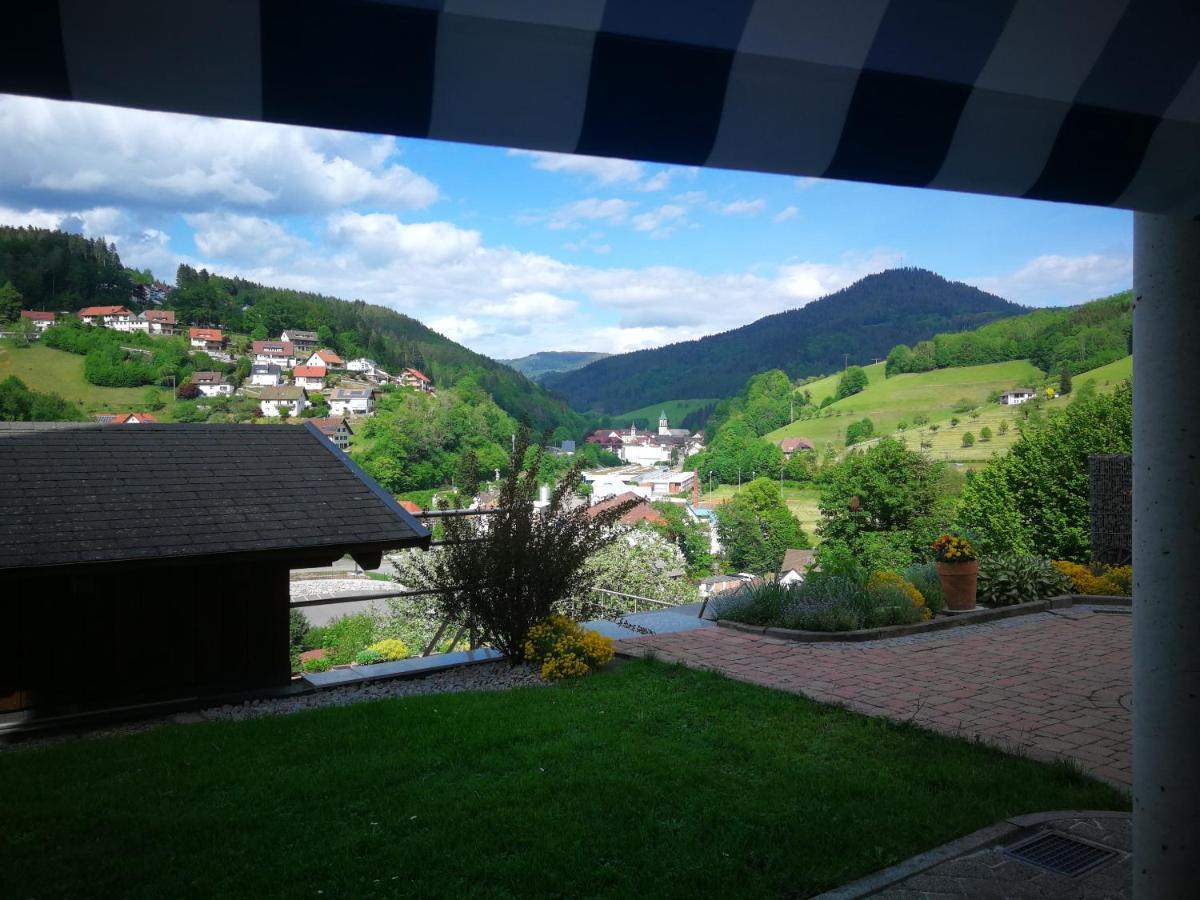 Ferienwohnung Schwarzwaldsteig Bad Peterstal-Griesbach Εξωτερικό φωτογραφία