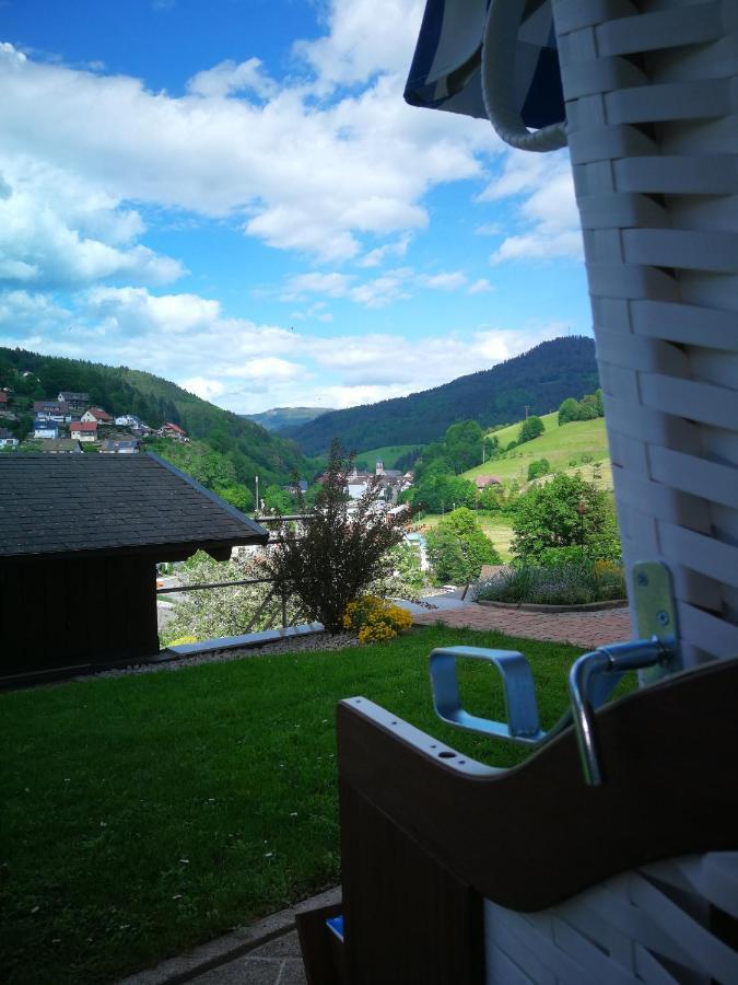 Ferienwohnung Schwarzwaldsteig Bad Peterstal-Griesbach Εξωτερικό φωτογραφία